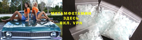 шишки Надым