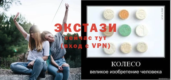 шишки Надым