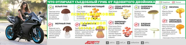 мдпв Наволоки