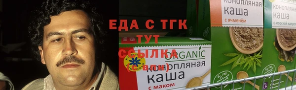 шишки Надым