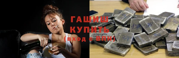 шишки Надым