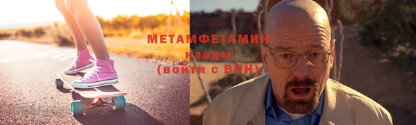 шишки Надым