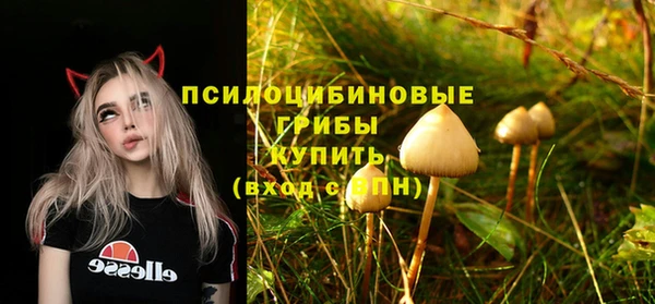 шишки Надым
