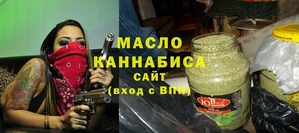 шишки Надым