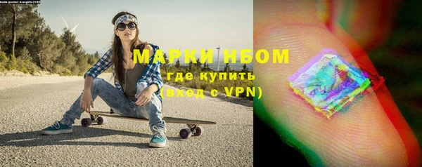 шишки Надым