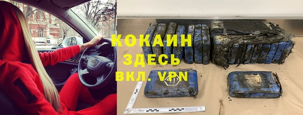 шишки Надым