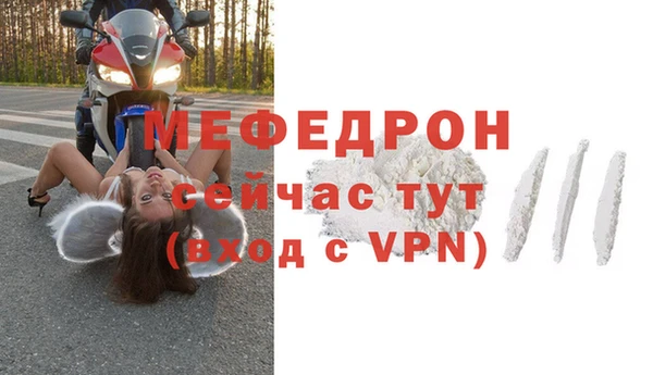 шишки Надым
